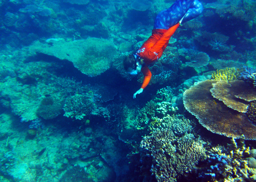 Heather Free Diving