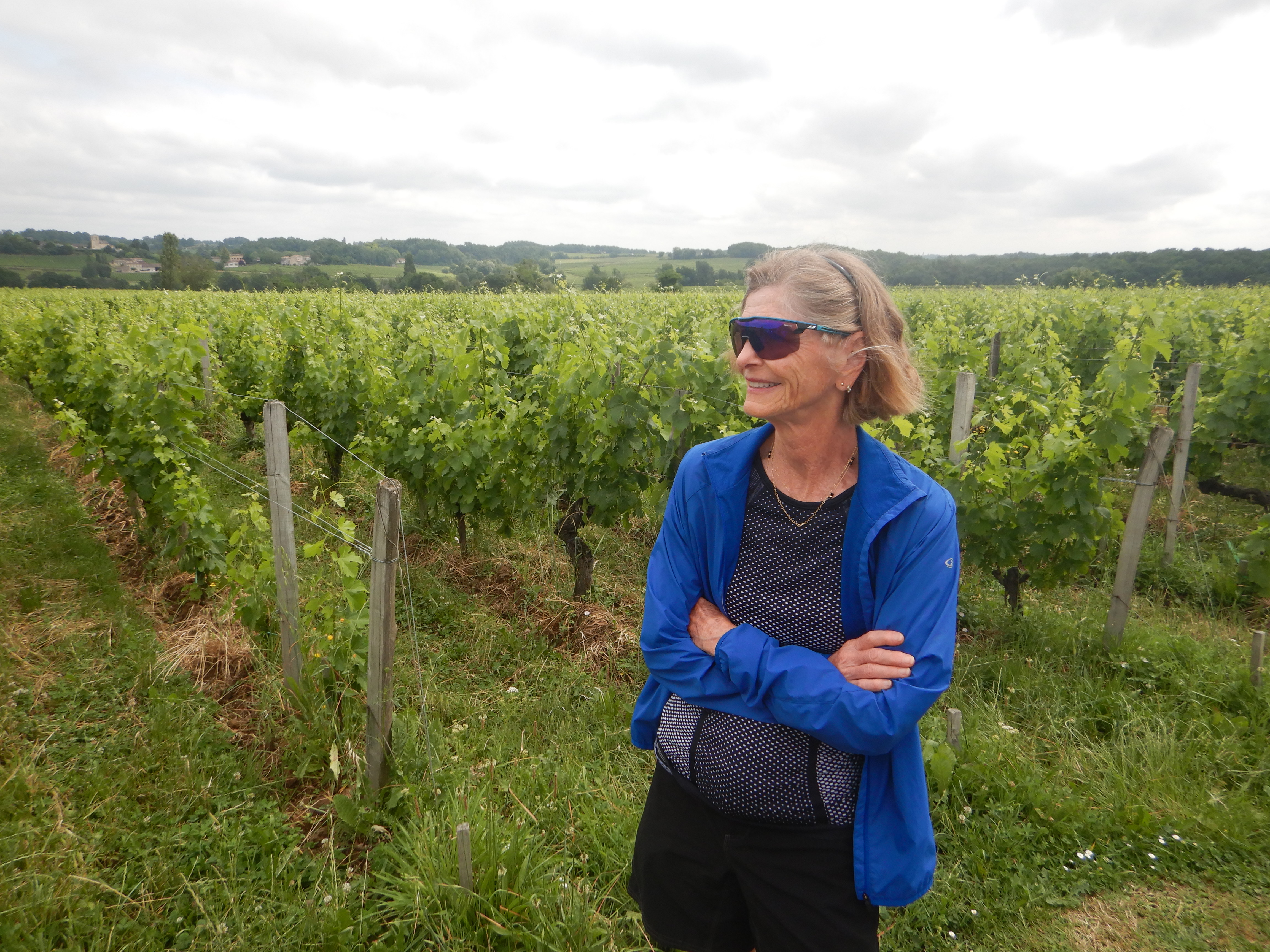 Winery Vineyard