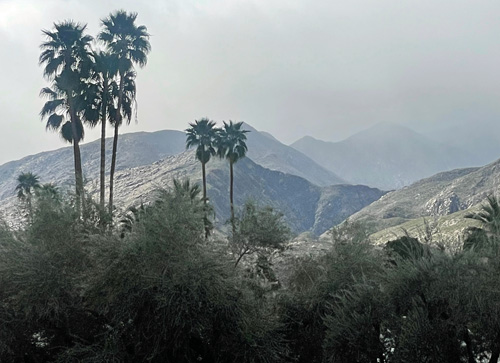 Palm Springs Weather