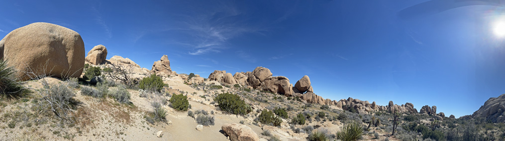 Joshua Tree Pano