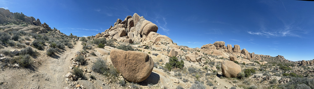 Joshua Tree Pano
